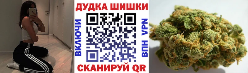 Магазины продажи наркотиков Шарья Кокаин ГАШ A PVP Бошки Шишки
