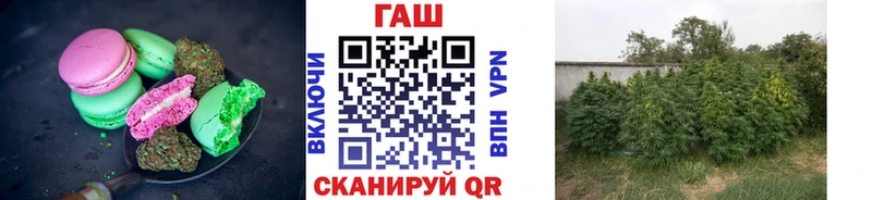 купить сайты Шарья Cannafood марихуана