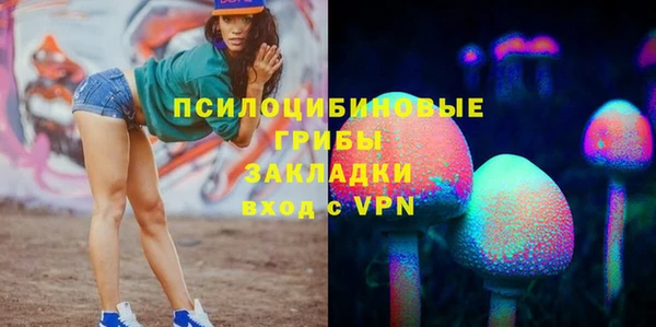 PSILOCYBIN Алзамай