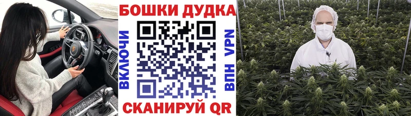 ссылка на мегу ТОР  сколько стоит  Шарья  Бошки марихуана сатива 